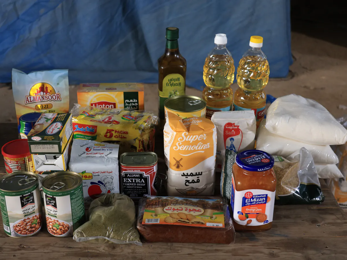 Emergency Household Assistance Kit
